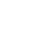 Logo_Landiz_BLANC Landiz_Reunion