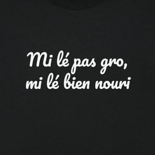 T-shirt brodé « Mi lé pas gro, mi lé bien nouri » – aperçu broderie